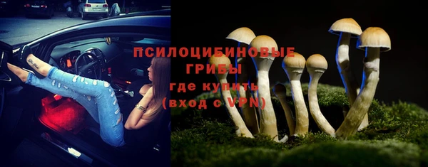 ГАЛЛЮЦИНОГЕННЫЕ ГРИБЫ Алзамай