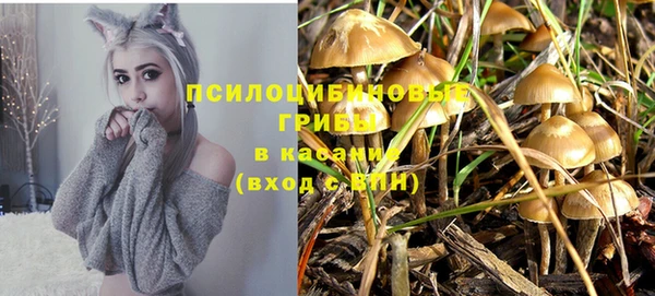 трава Алексеевка