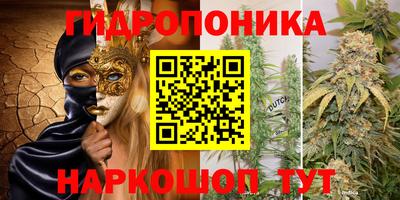ALPHA PVP Комсомольск-на-Амуре