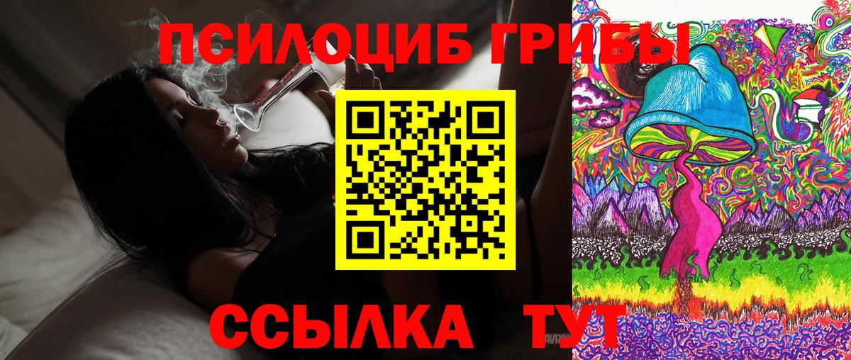 Красноярск  Псилоцибиновые грибы Psilocybine cubensis  Вход с VPN  Галлюциногенные грибы Psilocybe 