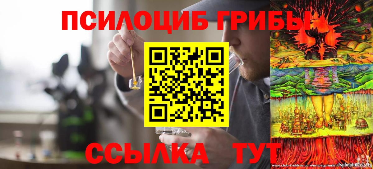 Галлюциногенные грибы Cubensis Красноярск