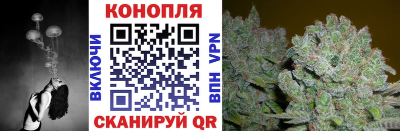 blacksprut как войти  Красноярск  Канабис VHQ 